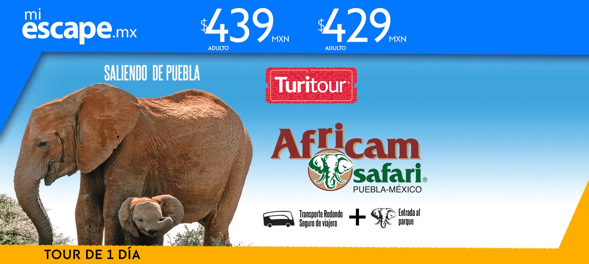 Turitour Africam Safari | Turitour Tours de 1 Día